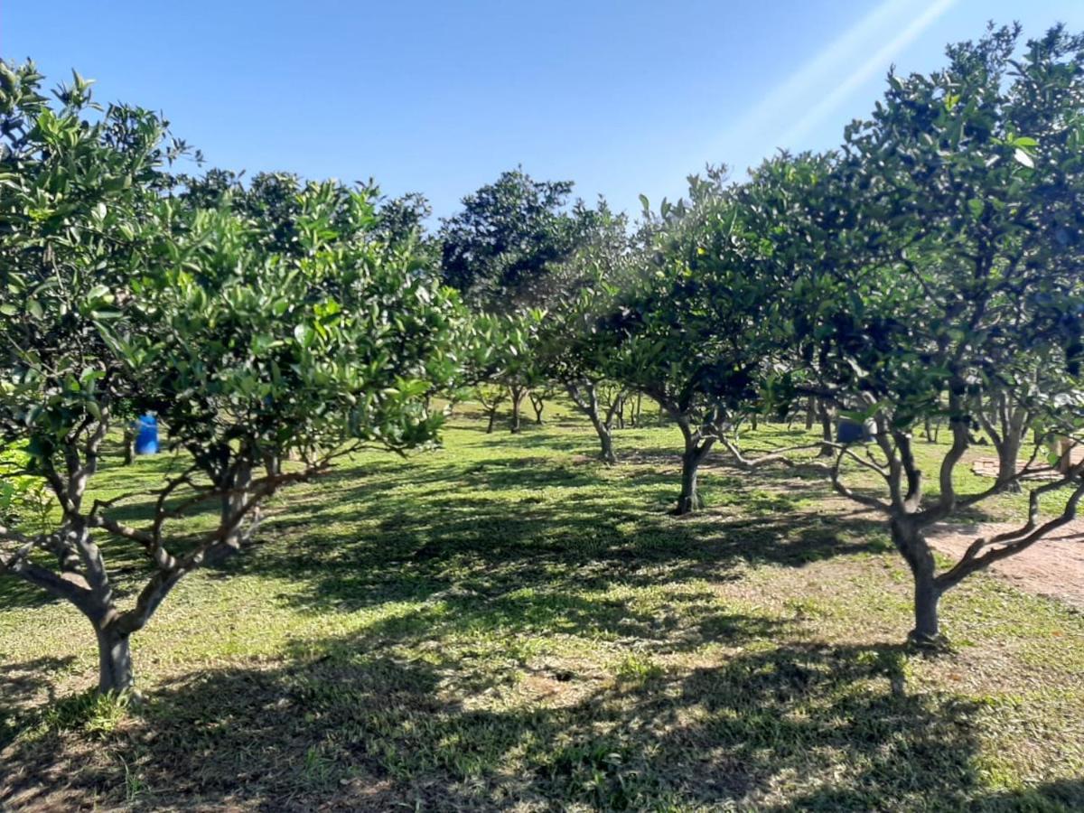 Casa Di Pecora - Pousada Rural Лауру-Мюллер Экстерьер фото